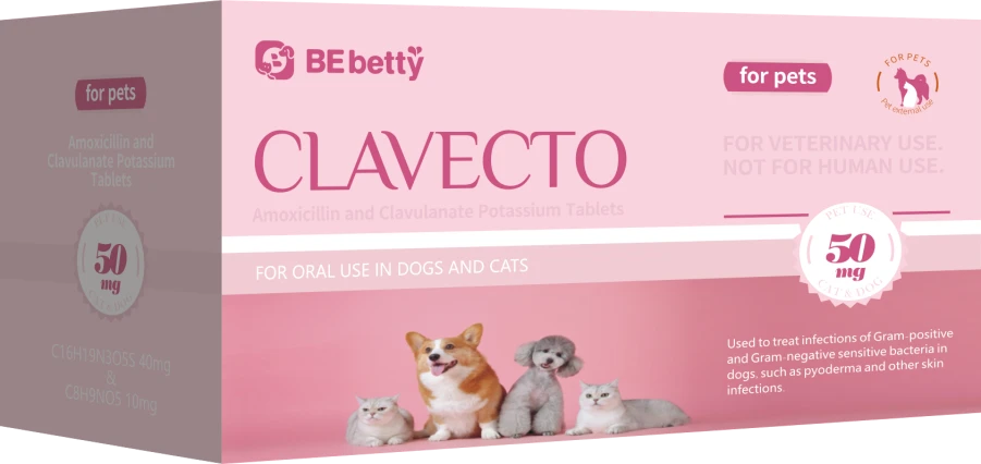 CLAVECTO